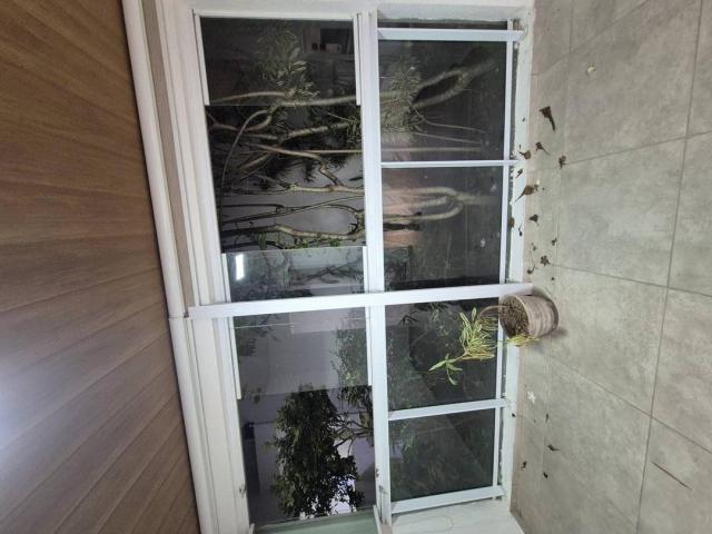 Apartamento para Venda em Marechal Deodoro - 4